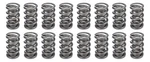 Racing Springs 1.500 Dual Valve (16)- PAC-1330-16. Fixed Price $649.47.