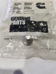 Oem Cummins 3943808 Expansion/ Freeze Plug 8.9 Liter Isc/isl/ 5362092. Fixed Price $15.50.