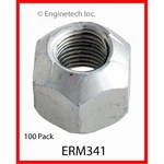 Enginetech Rocker Arm Nut ERM341;. Fixed Price $80.23.