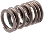 Engine Valve Spring-stock Melling VS-230. Fixed Price $79.31.