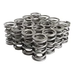 Comp Cams Valve Springs 26943-16. Fixed Price $555.95.