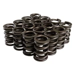 Comp Cams Valve Spring Set 26911-16. Fixed Price $148.98.