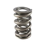 Racing Springs 1.500 Dual Valve (1)- PAC-1329. Fixed Price $64.52.