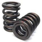 Renegade Valve Spring Set 99893-16; Dual, 120 Lbs At 1.875 In., 1.460 Od. Fixed Price $78.17.