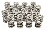 Racing Springs 1.522 Dual Valve Drag Race PAC-1360-16. Fixed Price $614.00.