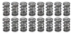 Racing Springs 1.500 Dual Valve (16)- PAC-1329-16. Fixed Price $649.47.