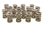 Racing Springs 1.550 Dual Valve (16)- PAC-1225-16. Fixed Price $422.21.
