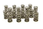 Racing Springs 1.564 Dual Valve (16)- PAC-1386-16. Fixed Price $649.47.