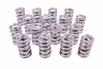 Racing Springs 1.574 Dual Valve (16) PAC-1396-16. Fixed Price $615.12.