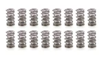 Racing Springs 1.430 Dual Valve (16) PAC-1373-16. Fixed Price $615.12.