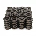 Racing Springs 1.490 Dual Valve (16)- PAC-1914-16. Fixed Price $206.74.