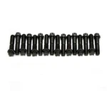Brian Tooley Racing Rkr Arm Trun Complete Kit 12 Point- TK/LS7BOLTS-16. Fixed Price $71.71.