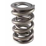 Racing Springs 1.500 Dual Valve (1)- PAC-1355. Fixed Price $64.52.