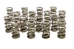 Racing Springs 1.500 Dual Valve (16)- PAC-1355H-16. Fixed Price $644.52.
