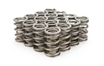 Racing Springs 1.550 Dual Valve (16)- PAC-1343-16. Fixed Price $649.47.