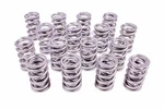 Racing Springs 1.574 Dual Valve (16)- PAC-1396-16. Fixed Price $649.47.