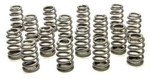 Racing PAC-1234X-16 1.021 Beehive Valve Springs (16) Coyote 5.0L. Fixed Price $305.50.