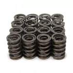 Racing Springs 1.490 Dual Valve Hot Rod PAC-1914-16. Fixed Price $190.66.