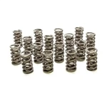 Racing Springs Dual Valve For Gm Ls PAC-1222X-16. Fixed Price $413.36.
