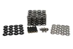 Brian Tooley Racing SK702 6560 Bb Valve Spring Kit Platinum Dual Standardni. Fixed Price $549.99.