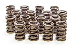 Isky 9365 Dual Valve Spring Set; 1.550 Od. Fixed Price $270.99.
