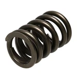 Racing Hot Rod Series Valve Spring PAC-1900-16. Fixed Price $144.00.