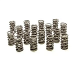 Racing Springs Dual Valve Gm Ls (16) PAC-1222X-16. Fixed Price $425.95.