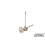 Gsc Power 2256-10 Intake Valves For Audi 2.5L Daza/dnwa Engines. Fixed Price $287.53.