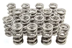 Racing Springs 1.514 Dual Valve (16)- PAC-1331-16. Fixed Price $649.47.