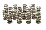 Racing Springs 1.500 Dual Valve Drag Race PAC-1355H-16. Fixed Price $609.25.