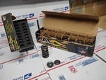 Valve Springs & Titanium Retainers, PAC-1326, PAC-R541, (16). Fixed Price $550.00.