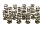 Racing Springs 1.500 Dual Valve (16) PAC-1355H-16. Fixed Price $610.36.