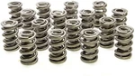 Racing Springs 1.550 Dual Valve (16)- PAC-1326-16. Fixed Price $644.52.