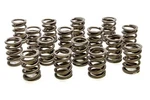 Racing Springs Valve Hr Series (16)- PAC-1900-16. Fixed Price $175.09.