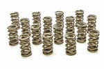 Racing PAC-1207X-16 1.304 Dual Valve Springs Rpm Series (16). Fixed Price $397.96.