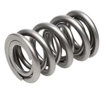 Racing 1300 Series Valve Spring PAC-1324-16. Fixed Price $477.00.