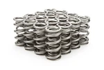 Racing Springs 1.500 Dual Valve (16)- PAC-1357-16. Fixed Price $649.47.