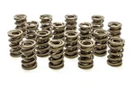 Racing Springs 1.539 Dual Valve (16)- PAC-1227-16. Fixed Price $460.43.