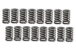 Stock Valve Springs Set For 1996-2002 Chevrolet Sbc 305 350 5.7L 5.0L Vortec. Fixed Price $46.00.