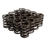 Comp Cams Valve Spring 26943-16; Dual, 240LBS 1.900 In., 1.55 Od. Fixed Price $579.01.
