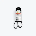 New Genuine Cummins 3288656 Ribbed V Belt. Fixed Price $70.00.