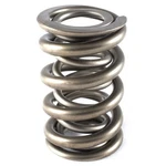 Valve Set PAC-1325-16; Dual 250 Lbs 2.000 In. 1.55 Od. Fixed Price $567.00.
