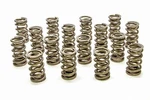 Racing Springs 1.304 Dual Valve For Gm Ls PAC-1207X-16. Fixed Price $413.36.