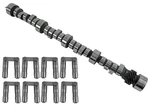 Howards Camshaft And Lifter Kit CL110245-10. Fixed Price $1025.99.
