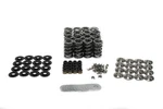 Brian Tooley Racing SK007 6560 Bb Valve Spring Kit Platinum Dual Standardni. Fixed Price $369.99.