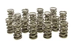Racing Springs 1.564 Dual Valve (16) PAC-1386-16. Fixed Price $615.12.