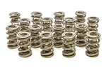 Racing Springs 1.667 Triple Valve (16) PAC-1351-16. Fixed Price $666.95.