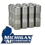 Delphi 25341990 Lifters Set Of 12 For 3.8L And 4.3L Gm V6 Engines 1986-2013. Fixed Price $144.99.