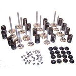 Engine Works VTK100 Valves/spring/retainer & Lock Kit W/900. Fixed Price $253.71.