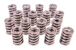 1.545 Dual Valve Springs (16). Fixed Price $472.14.